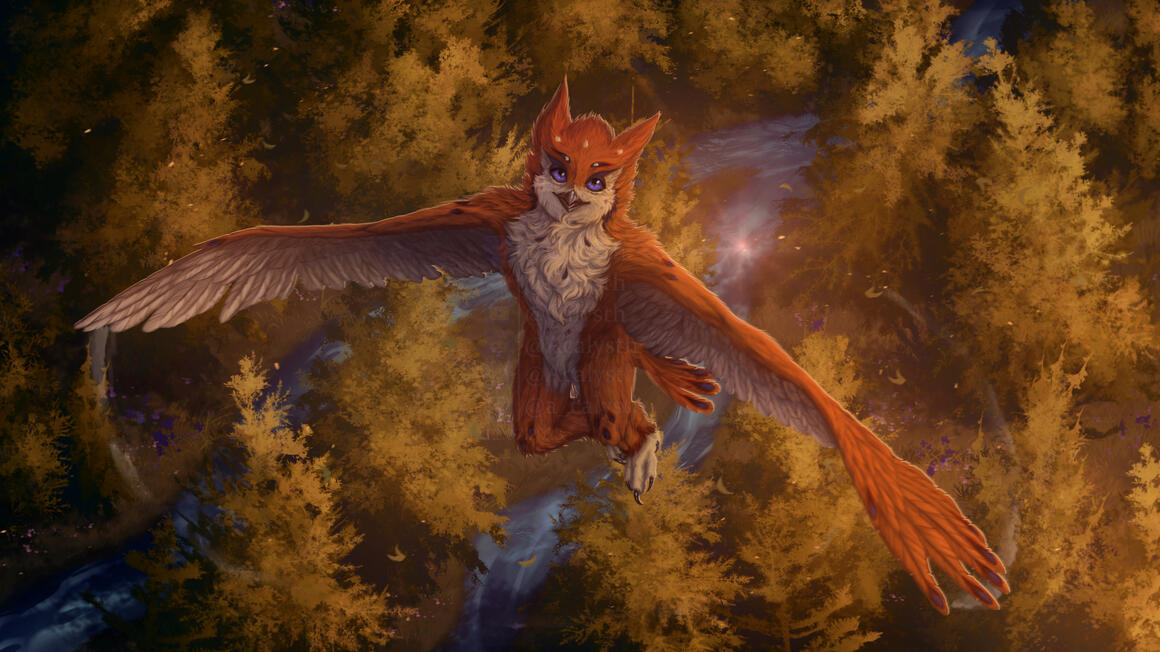 Commission Commission