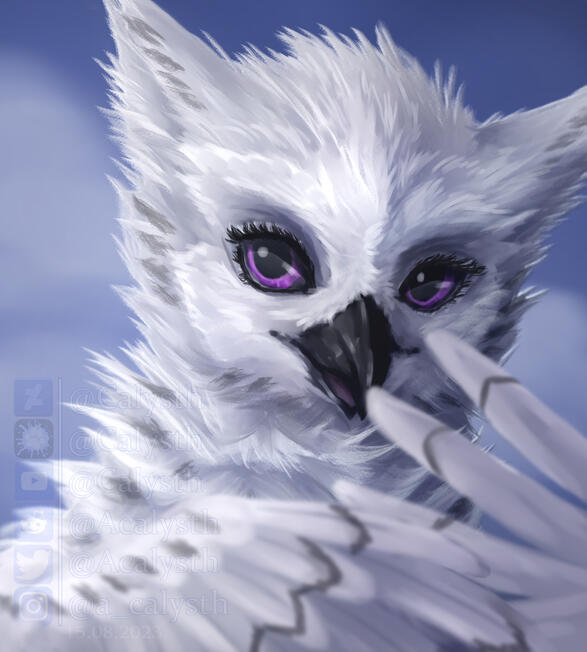 Commission Commission